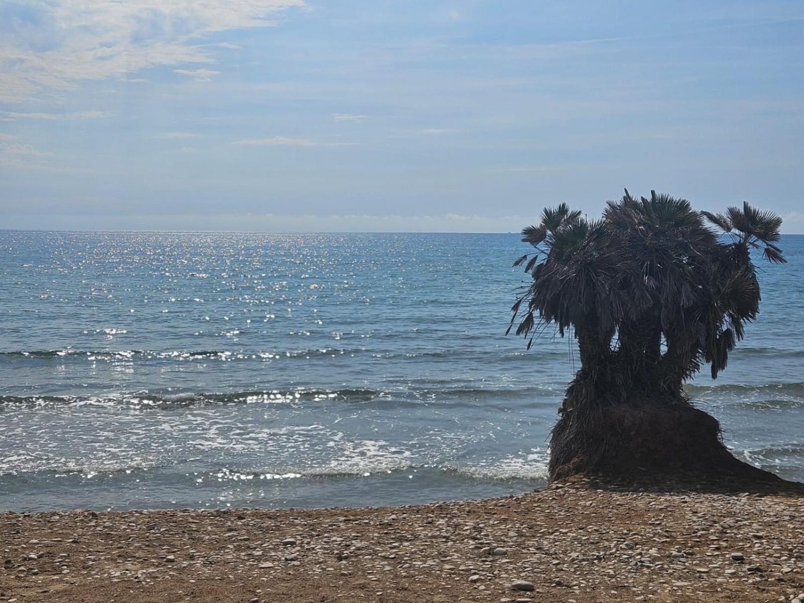 Mondrian Magic World - Sea View First Line Of The Beach Orpesa Kültér fotó